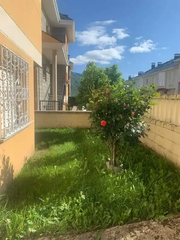 Jardín.