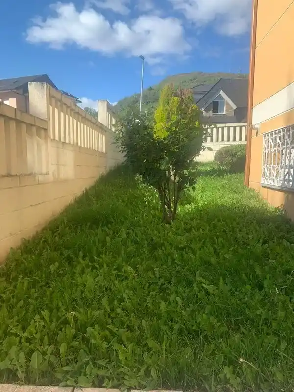 Jardín de chalet.
